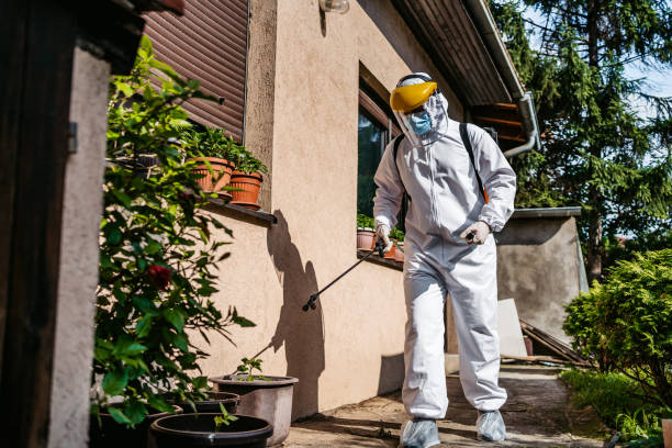 Trusted Las Cruces, NM Pest Control Experts
