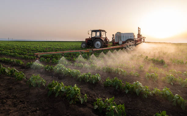 Las Cruces, NM Pest Control Pros