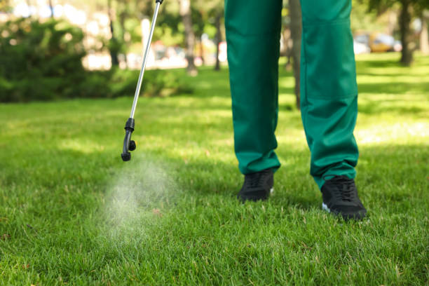 Best Best Pest Control Companies  in Las Cruces, NM