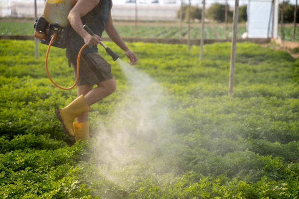 Best Emergency Pest Control  in Las Cruces, NM