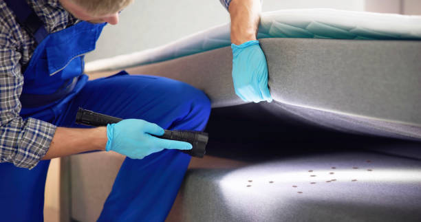 Best Exterminator Services  in Las Cruces, NM