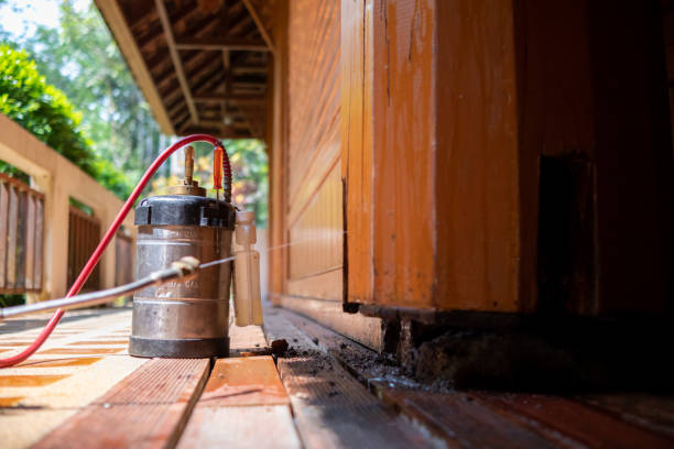 Best Pest Prevention Services  in Las Cruces, NM