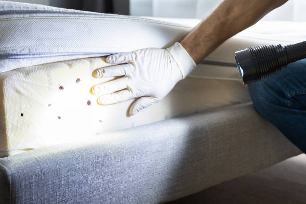 Best Wildlife Control Services  in Las Cruces, NM